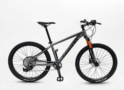 Mountain bike mtb - mtb, speed